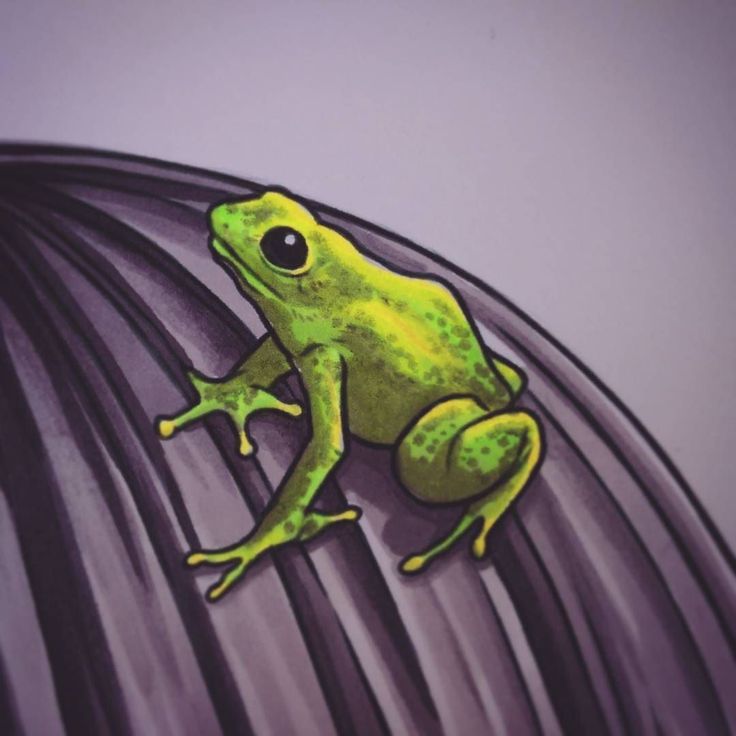 Frog Girl Progress